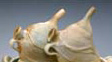cruets